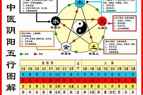 1984年五行|【1984年五行】揭曉！1984年五行屬什麼？鼠年的你五行命運大。